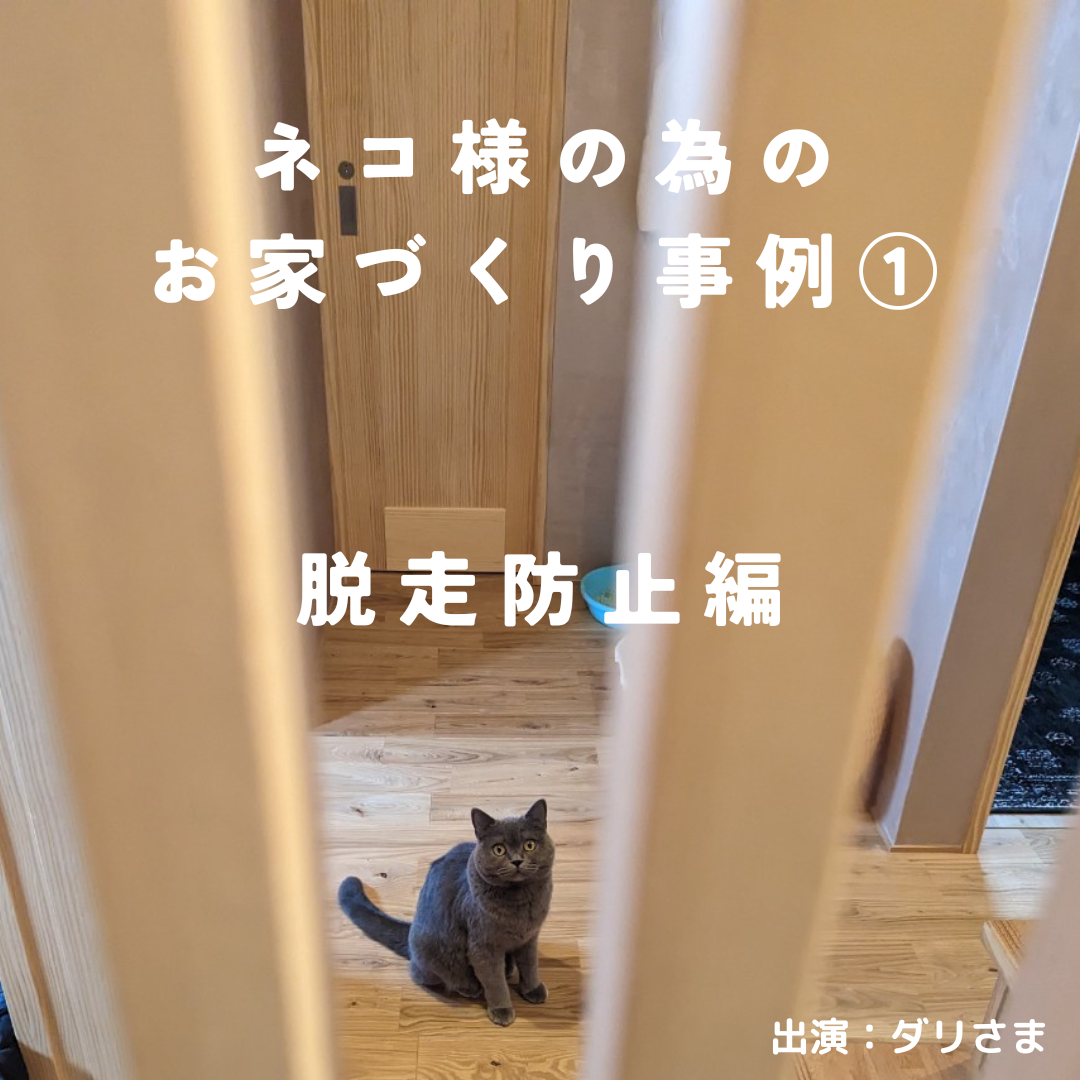 【事例紹介】ネコ様の為のお家づくり事例①