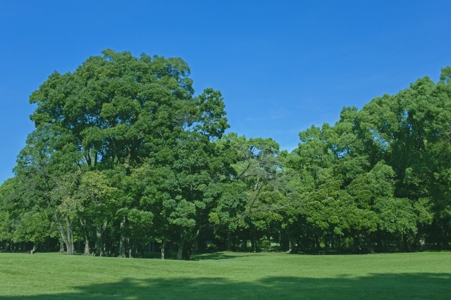 【第二弾】無垢材のもつ個性