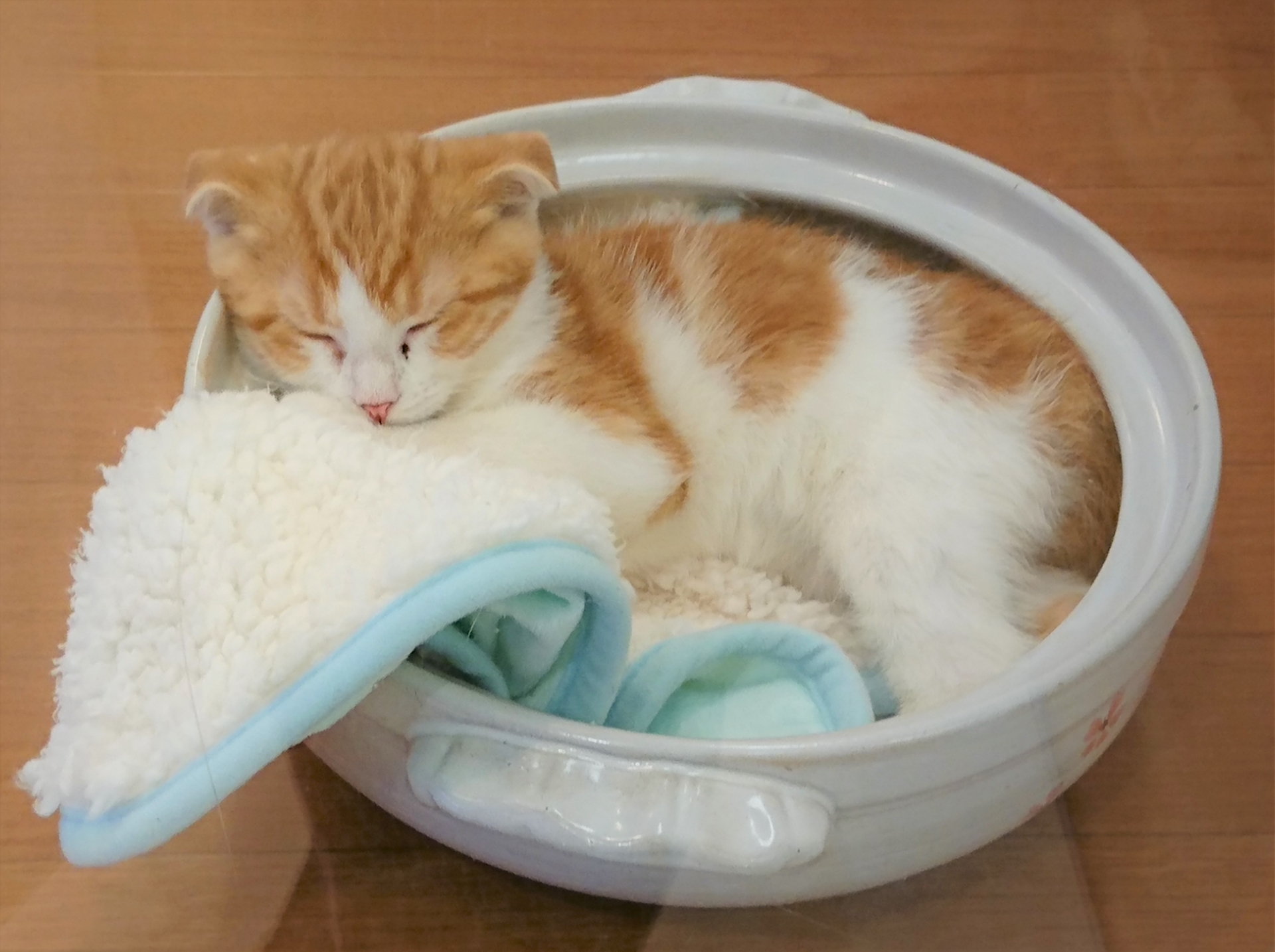 冬のお鍋をもっと楽しむための換気のコツ